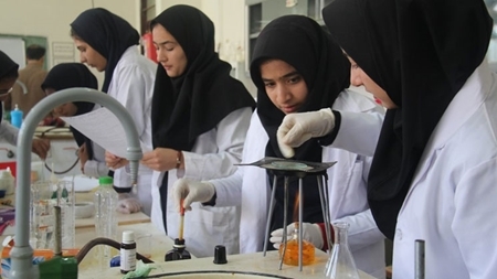 فعالیت ۲۷۰ پژوهش‌سرای دانش‌آموزی در حوزه گیاهان دارویی